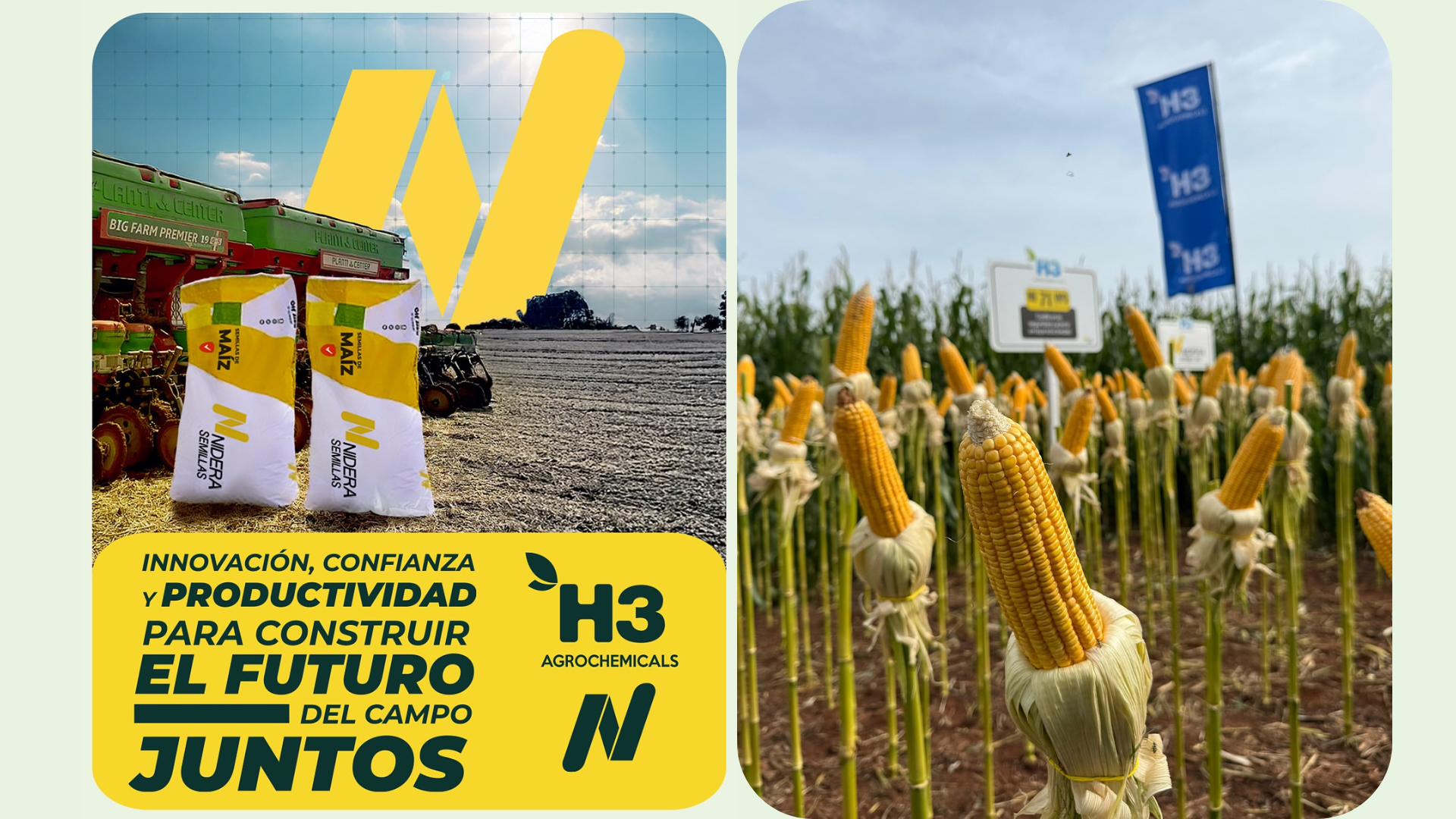 Zafriña Nidera 2024/2025